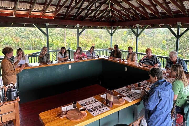 Honoli‘i Orchards: 10-Bar Hawaiian Craft Chocolate Tasting on Maunakea Slopes