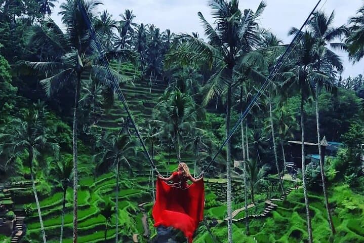 Best of Ubud: Monkey Forest, Tegalalang Rice Terrace, Waterfalls & Bali Swing Day Tour photo 4