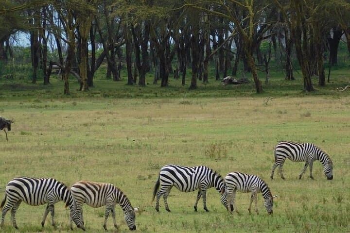 Hell's Gate & Sanctuary Farm: Bike the Rift and Ride to Lake Naivasha photo 5
