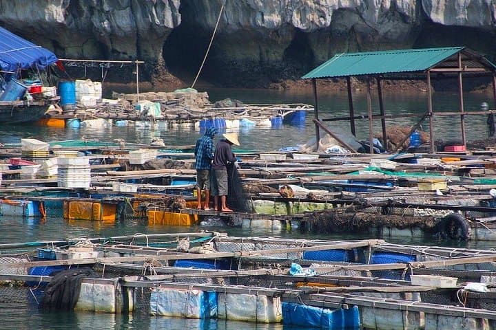 2-Day Halong & Lan Ha Bay Cruise from Hanoi — Private Balcony Cabin photo 3