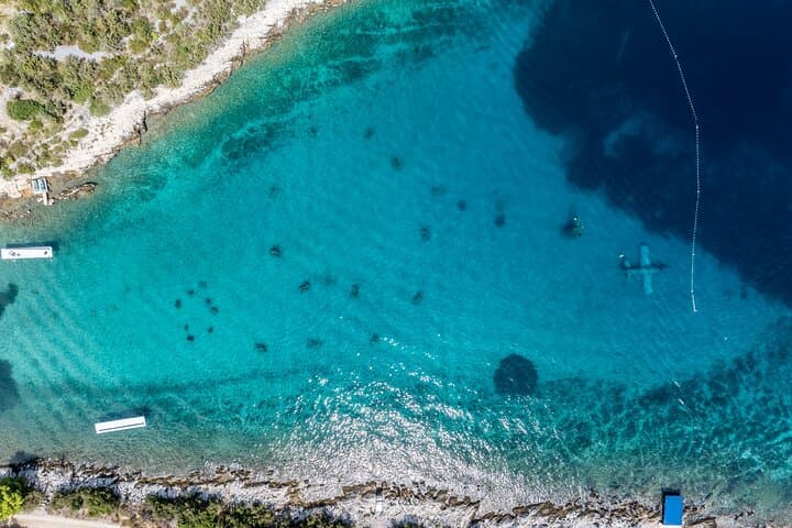 Private Sea Tour to the Underwater Museum, Blue Lagoon, Šolta & Trogir photo 3