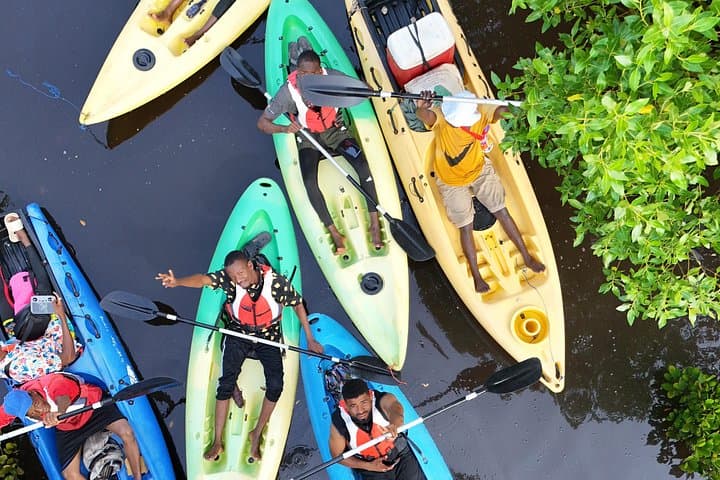 Uzi Island Mangrove Adventure: Kayaking, Village Life & South Coast Wildlife