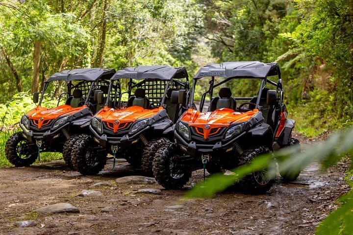 Off-Road Buggy Adventure in Madeira: Laurissilva Views & North Coast Trails photo 2
