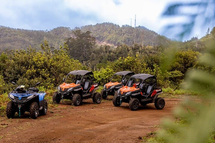 Off-Road Buggy Adventure in Madeira: Laurissilva Views & North Coast Trails photo 5