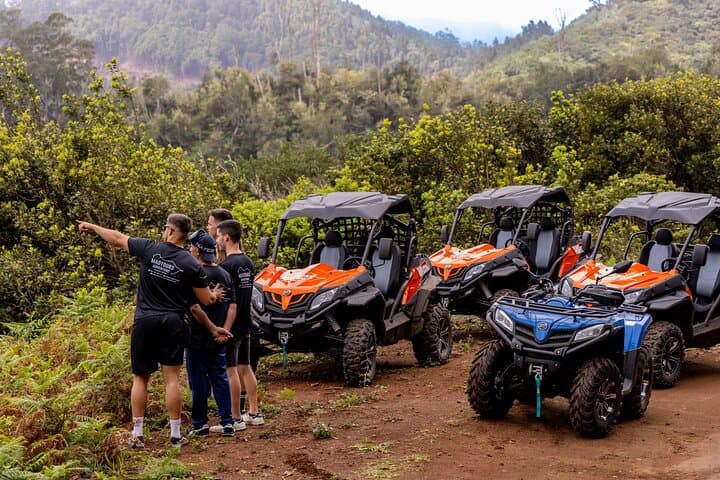 Off-Road Buggy Adventure in Madeira: Laurissilva Views & North Coast Trails photo 6
