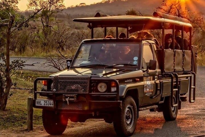 Hluhluwe-Imfolozi Park Half-Day Big Five Safari — Morning Game Drive from St Lucia