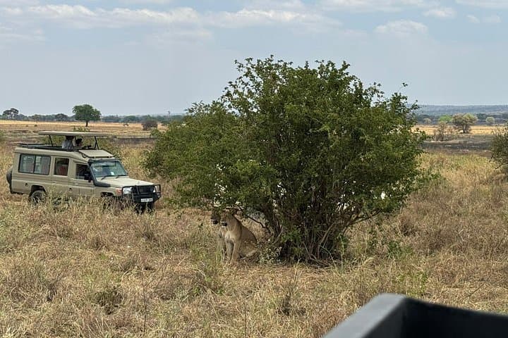 6-Day Serengeti Fly-In Safari and Zanzibar Beach Escape photo 1