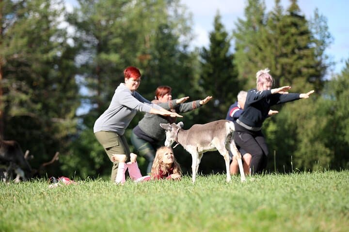Reindeer Yoga in Finnish Lapland: Herdside Flow Near Rovaniemi photo 5
