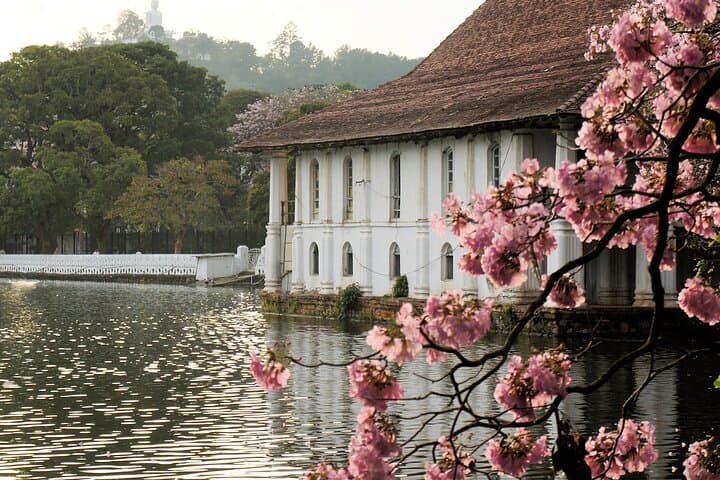 3-Day Cultural Circuit: Kandy, Sigiriya & Trincomalee — Airport to Airport Private Tour photo 2