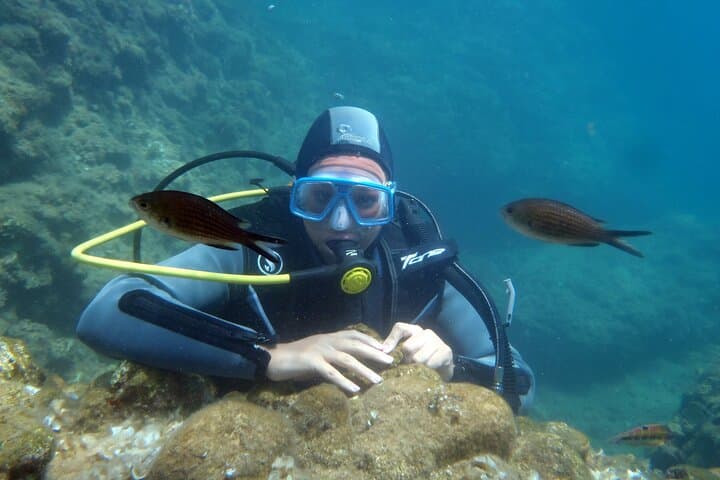 Scuba Alanya: Boat and Shore Dives in the Mediterranean photo 4