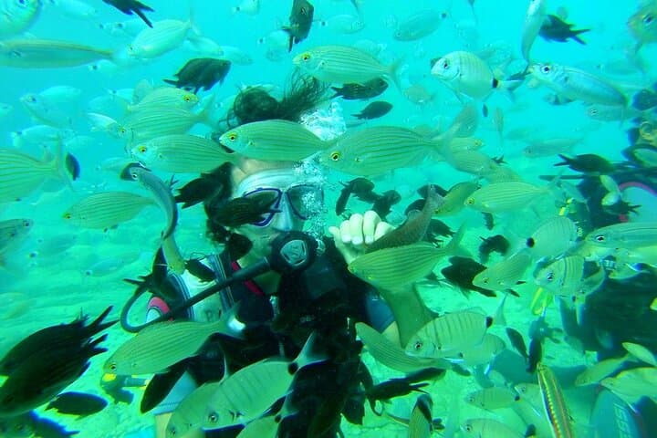 Scuba Alanya: Boat and Shore Dives in the Mediterranean photo 5