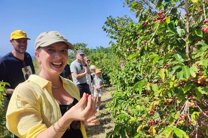 Explore Europe's Only Coffee Farm: Guided Visit to the Northernmost Coffee Plantation photo 2