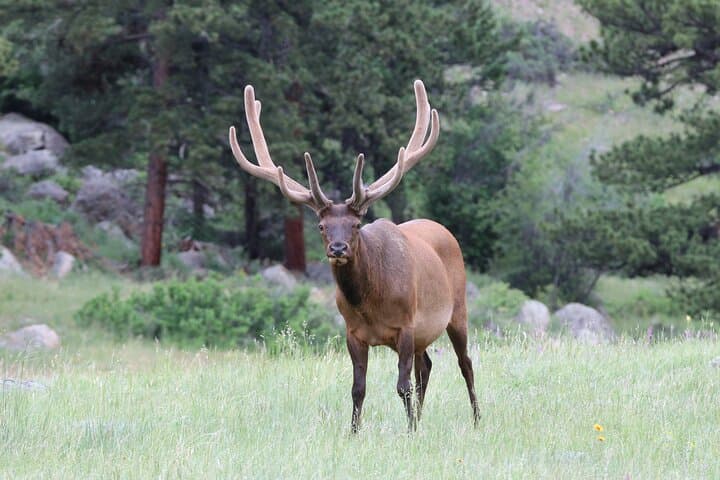 Bear Lake Corridor Tour — Rocky Mountain National Park Guide photo 2