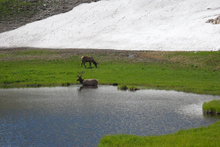 Bear Lake Corridor Tour — Rocky Mountain National Park Guide photo 4