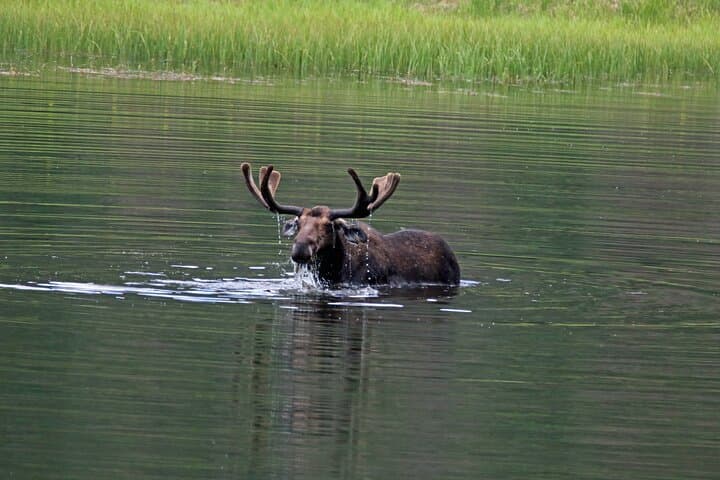 Bear Lake Corridor Tour — Rocky Mountain National Park Guide photo 5