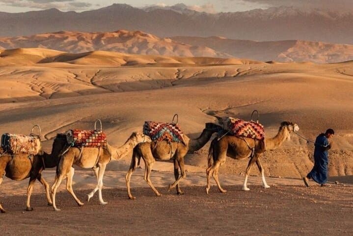 Agafay Desert Quad & Camel Sunset Ride with Dinner and Show from Marrakech