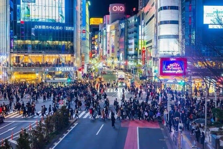 Shinjuku After Dark: Private Night Tour with English-Speaking Driver