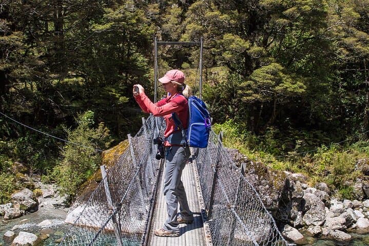 Hike to Lake Marian: Fiordland’s Hanging Valley Walk from Te Anau photo 5