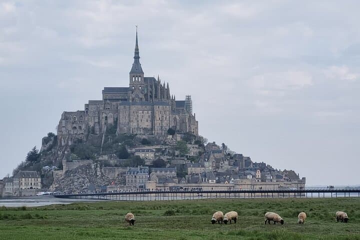 Mont Saint-Michel 2-Hour Guided Walk with Abbey Ticket — Historic Bay Tour