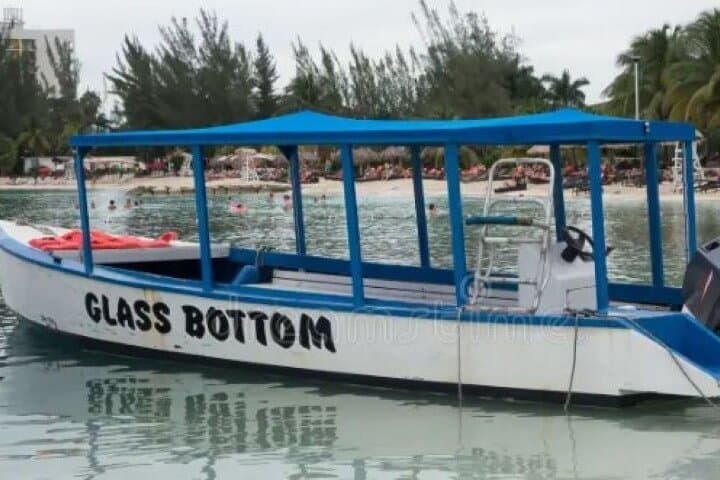 Private Negril Highlights Tour — Customize 7 Mile Beach, Rick's Cafe & Xtabi Caves photo 5