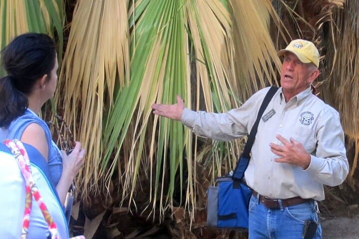 Joshua Tree Scenic Hummer Tour: Giant Boulders, Fault Lines & Desert Views photo 4