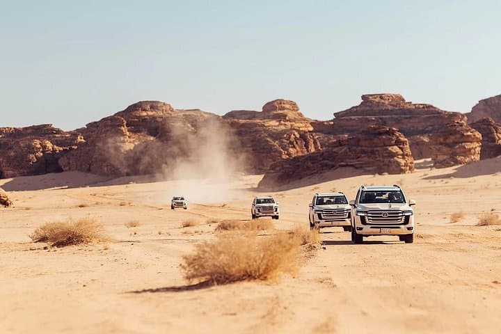 Sharaan Reserve Nature Safari: AlUla Desert Wildlife & Rock Art Excursion photo 3