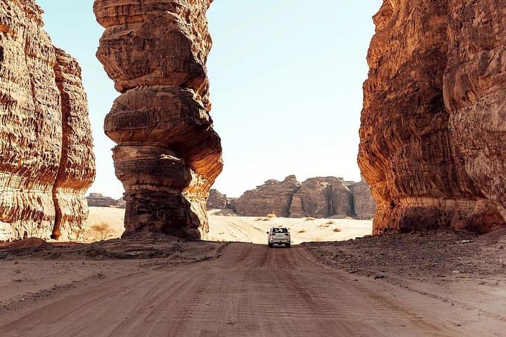 Sharaan Reserve Nature Safari: AlUla Desert Wildlife & Rock Art Excursion photo 4