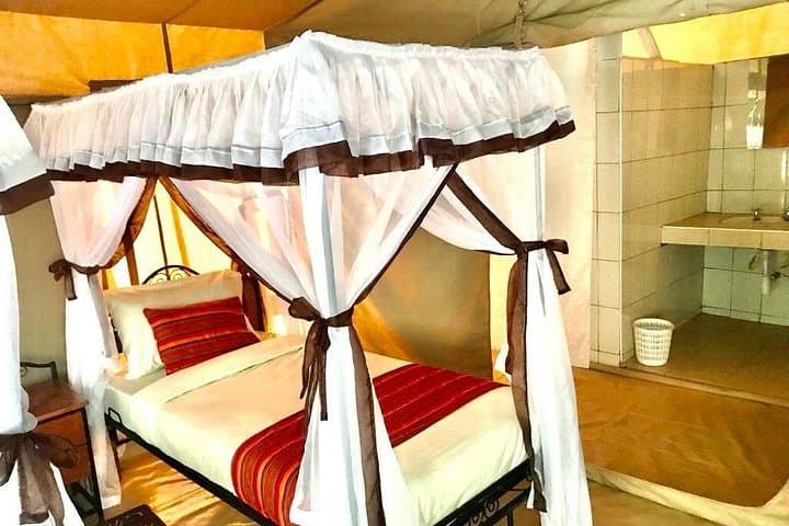4-Day Masai Mara Big Five Safari — Full-Day Game Drives & Camp Stay photo 2