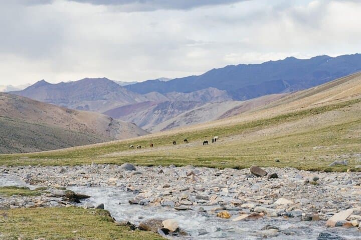 Summit UT Kangri: 8-Day Mountaineering Expedition in Ladakh (6070m) photo 2