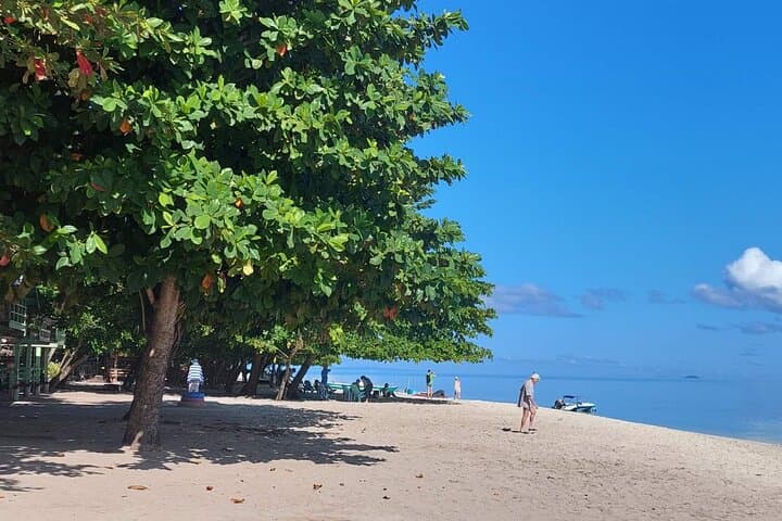 Canigao Island Hopping: Private Full-Day Trip from Leyte for Snorkeling & Beach Time