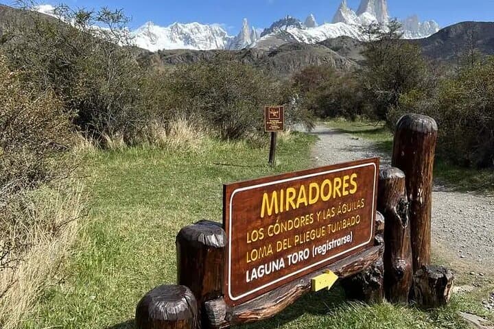 Full Day El Chaltén: Fitz Roy, Chorrillo del Salto & Condor Viewpoints from El Calafate photo 5