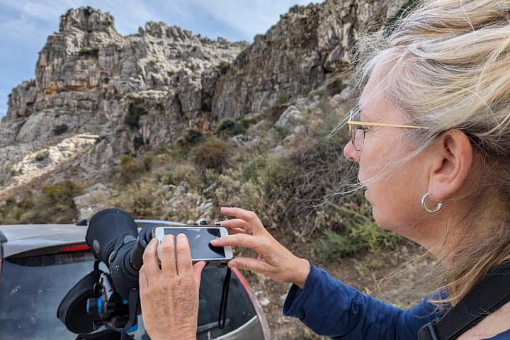 Birdwatching Ronda & Grazalema: Day Tour for Griffon Vultures and Rock Specialists photo 2