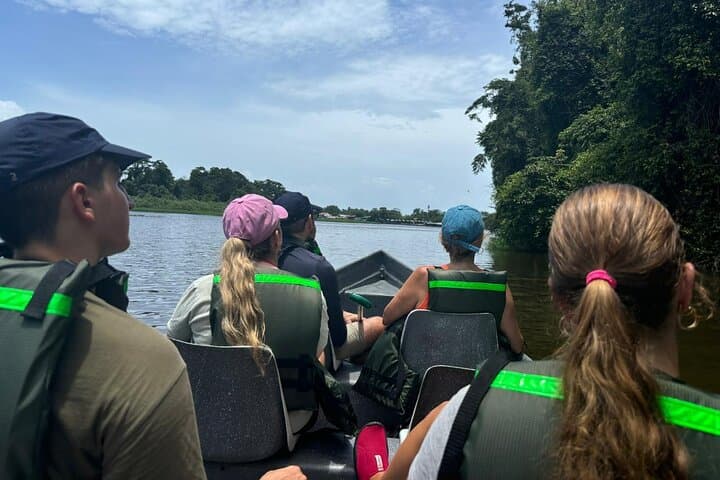 Tortuguero Night Walk, Canoe & Jaguar Trail: 2-Day Wildlife Package photo 2
