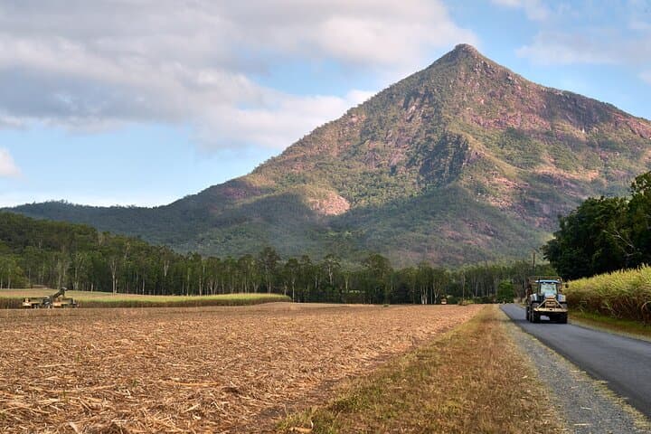 Explorer Tour: Cairns Waterfalls, Crystal Cascades & Behana Gorge Day Trip photo 2