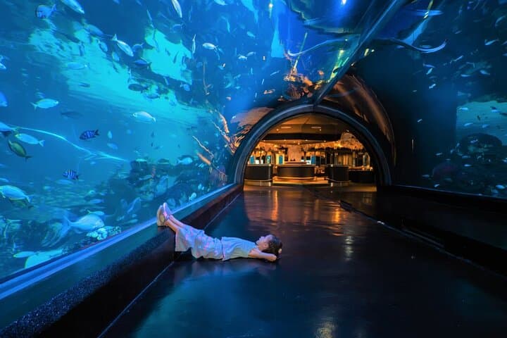 Aquaria Phuket & AR Trick Eye Museum: Interactive Aquarium and 4D Art Experience