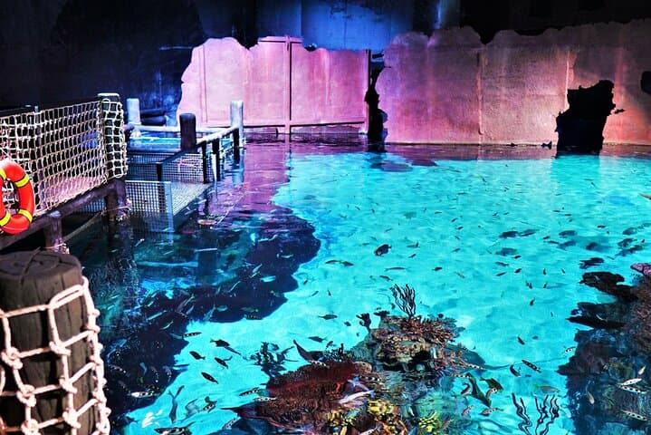 Aquaria Phuket & AR Trick Eye Museum: Interactive Aquarium and 4D Art Experience photo 3