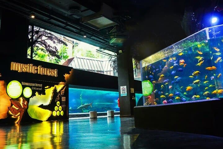 Aquaria Phuket & AR Trick Eye Museum: Interactive Aquarium and 4D Art Experience photo 5