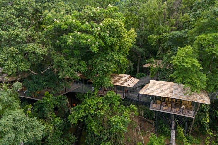 Kuang Si Waterfall Zipline & Tree Top Cafe Day Trip from Luang Prabang