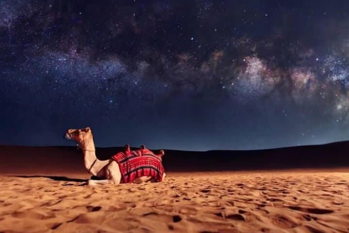 Dubai Half-Day Desert Safari: Camel Ride, Dune Bashing & Quad Bike Adventure photo 3