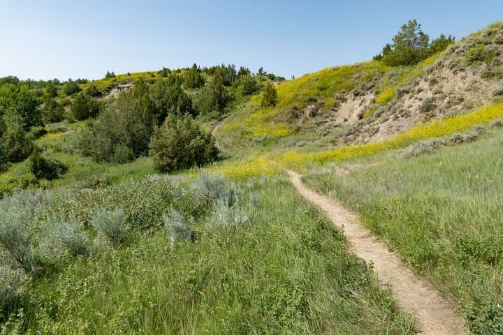 Self-Guided Audio Driving Tour of Theodore Roosevelt National Park — Badlands, Bison & Historic Sites photo 2