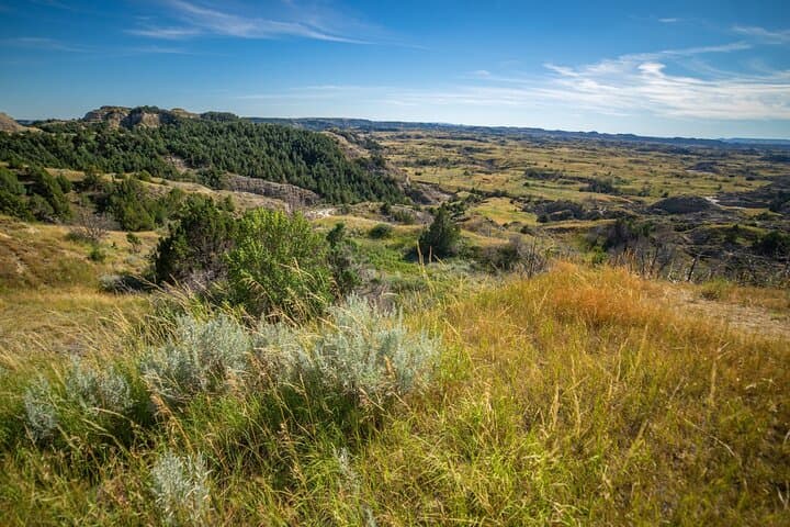 Self-Guided Audio Driving Tour of Theodore Roosevelt National Park — Badlands, Bison & Historic Sites photo 4