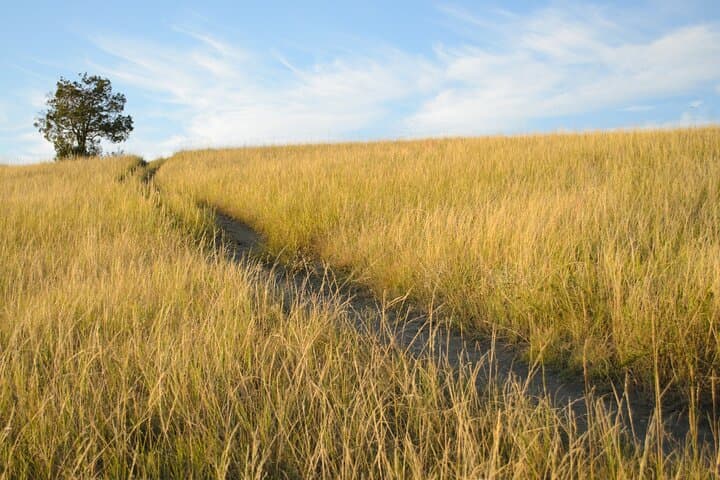 Self-Guided Audio Driving Tour of Theodore Roosevelt National Park — Badlands, Bison & Historic Sites photo 6