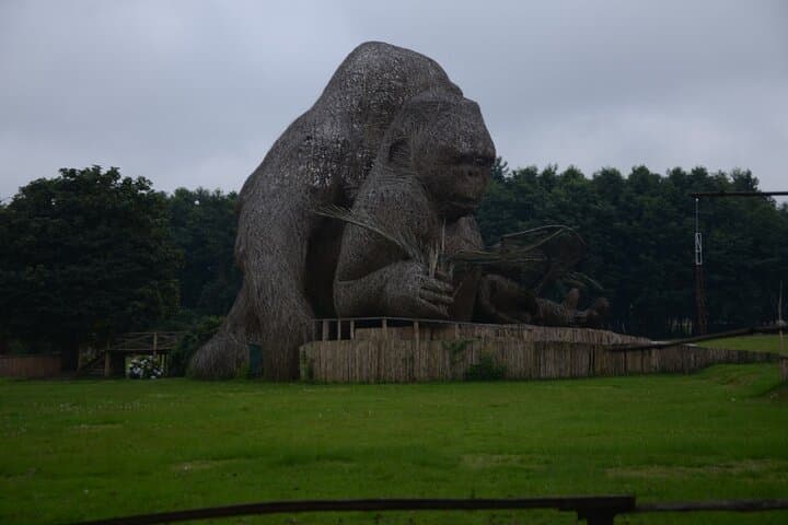 Private One-Day Gorilla Tracking in Volcanoes National Park, Rwanda photo 3
