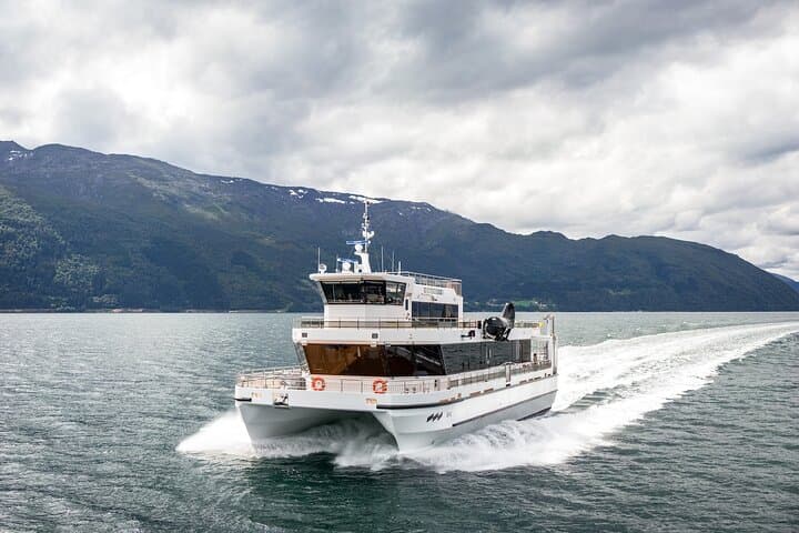 Bodø Northern Lights Cruise: Aurora Hunt Aboard Hybrid-Electric Vessels photo 5