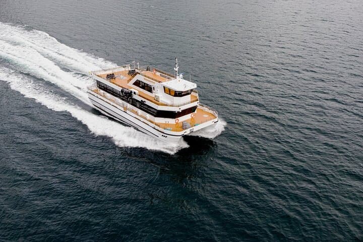 Bodø Northern Lights Cruise: Aurora Hunt Aboard Hybrid-Electric Vessels photo 6