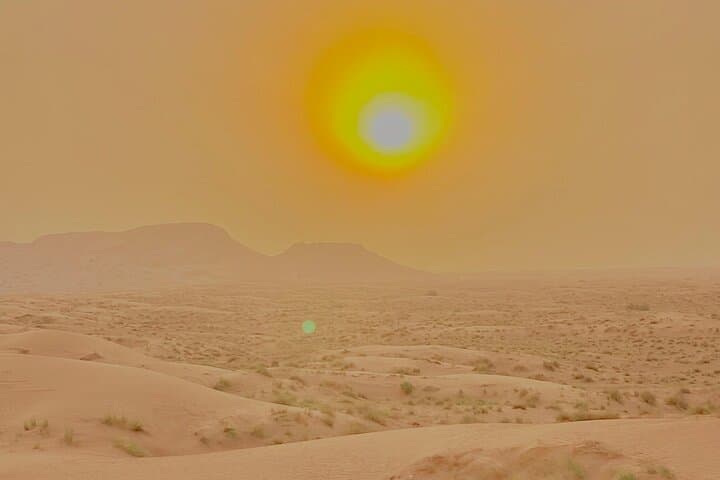 Evening Desert Safari in Dubai: Lahbab Dune Bashing & BBQ Under the Stars photo 6