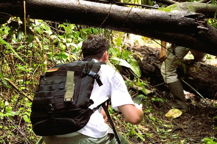 Explore Bali's Untamed Rainforest: Jungle Trek & Waterfall Experience photo 2