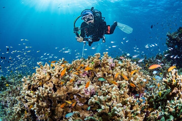 PADI Open Water in Phuket: 3-Day, 5-Dive Course at Racha Islands photo 4