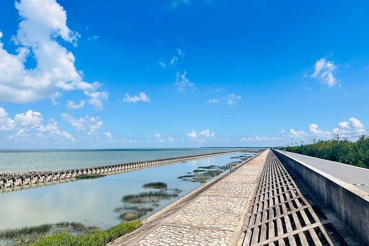Cycle the Yangtze: Half-Day Bike Tour Around Chongming Changxing Island photo 3