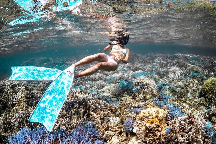 Guided Free-Diving & Snorkel Tour in Miyakojima’s Coral Reefs